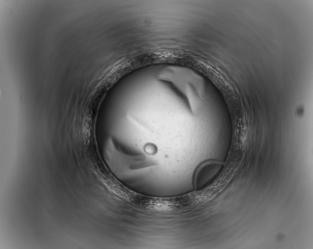 X0000097960710200804071031