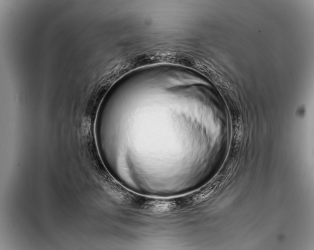 X0000097960711200804071031