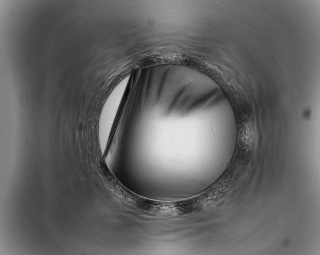 X0000097960715200804071031