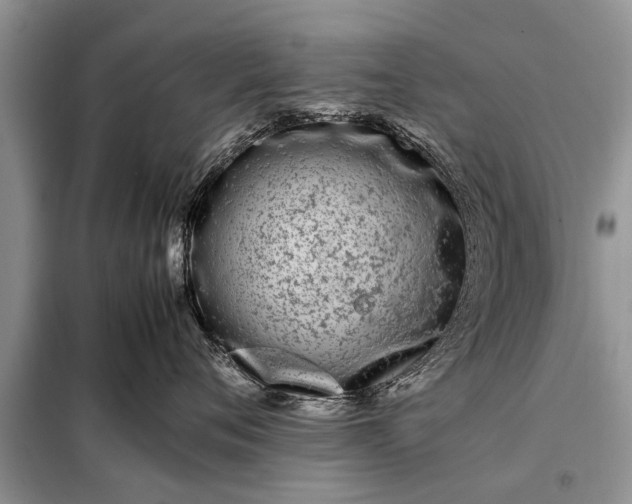 X0000097960720200804071031