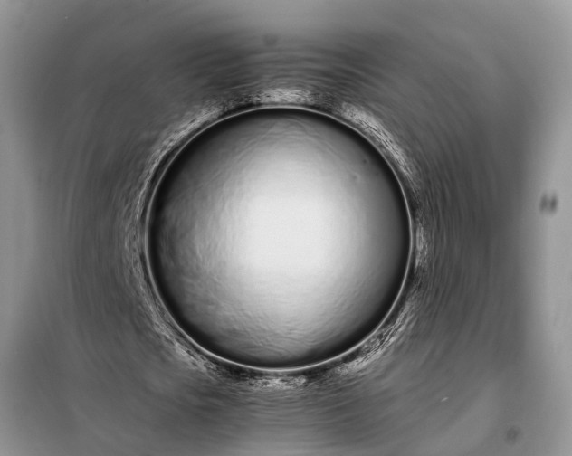 X0000097960721200804071030