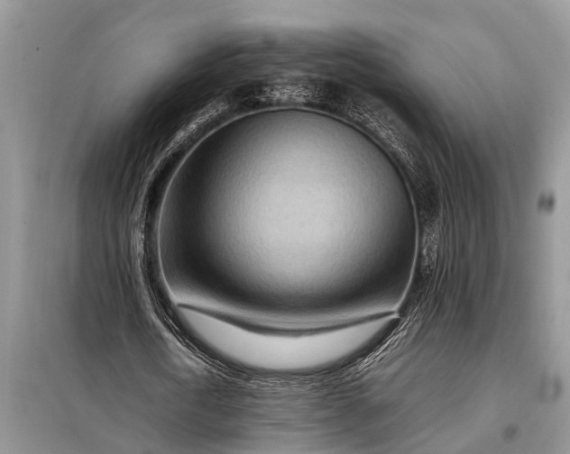 X0000097960722200804071030