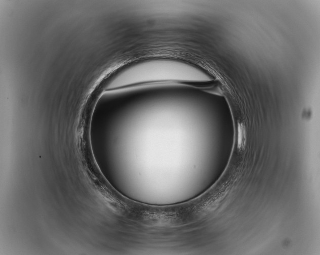 X0000097960723200804071030