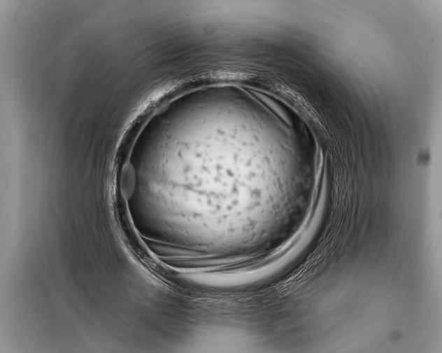 X0000097960726200804071030