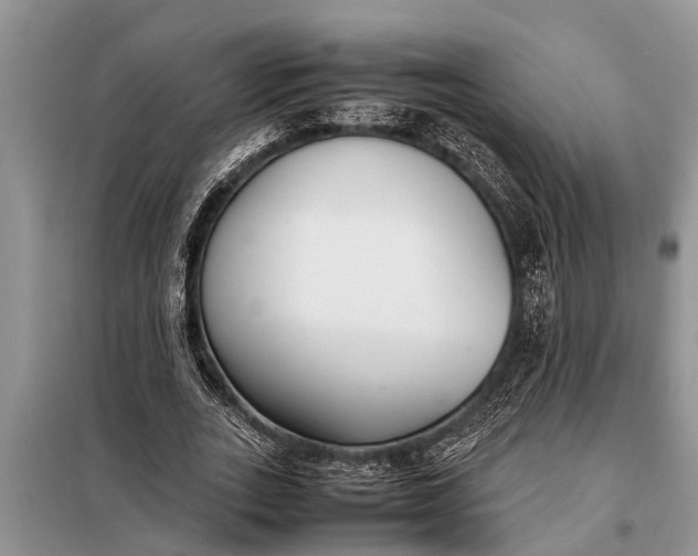 X0000097960727200804071030