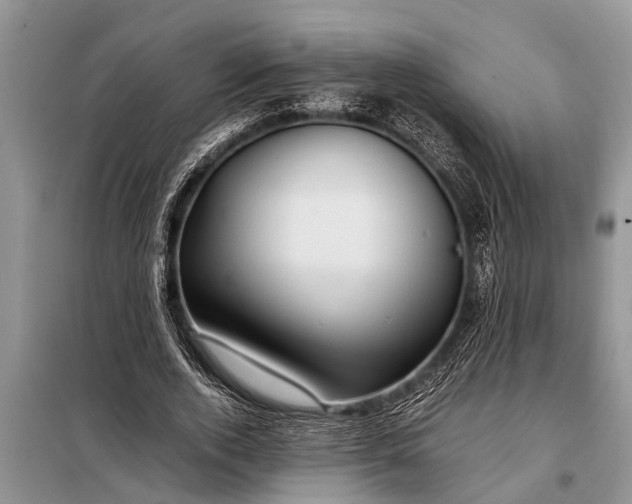 X0000097960728200804071030