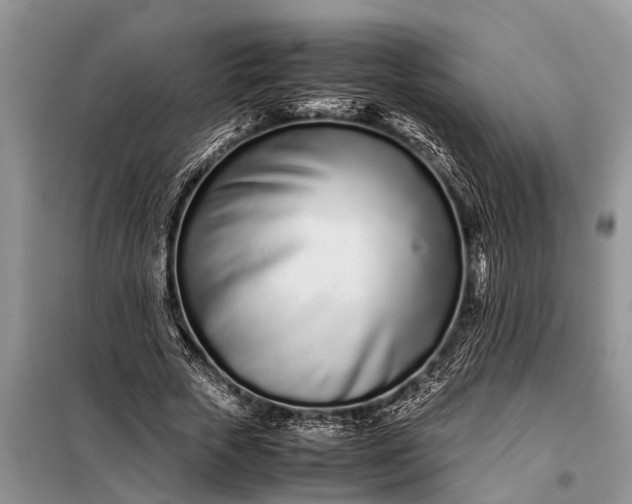 X0000097960729200804071030