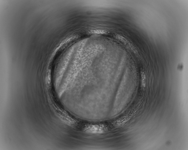 X0000097960731200804071030