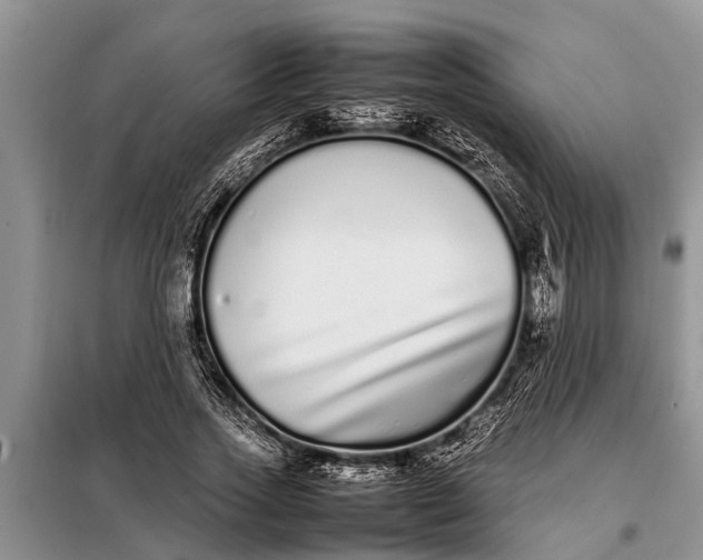 X0000097960733200804071030