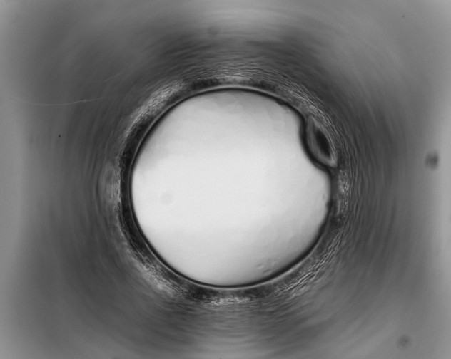 X0000097960734200804071030