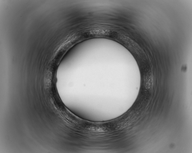X0000097960735200804071030