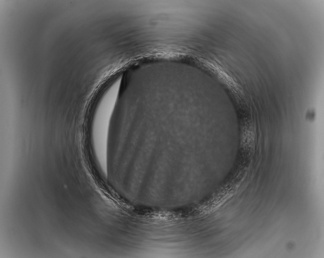 X0000097960736200804071030