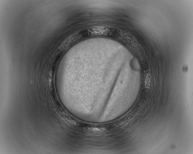 X0000097960737200804071030