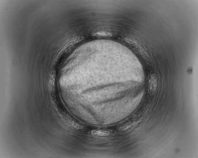 X0000097960739200804071030