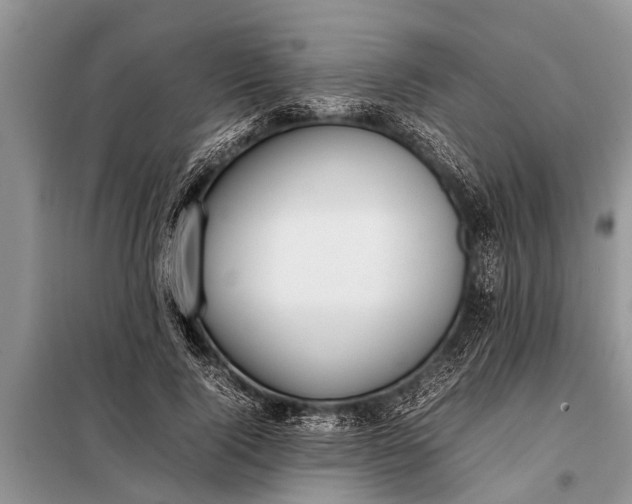 X0000097960740200804071030