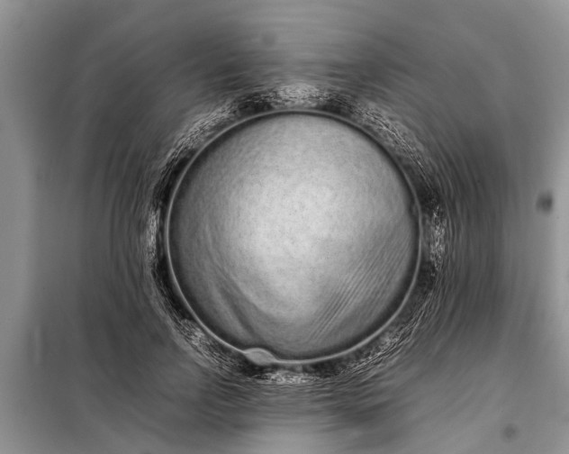 X0000097960742200804071030