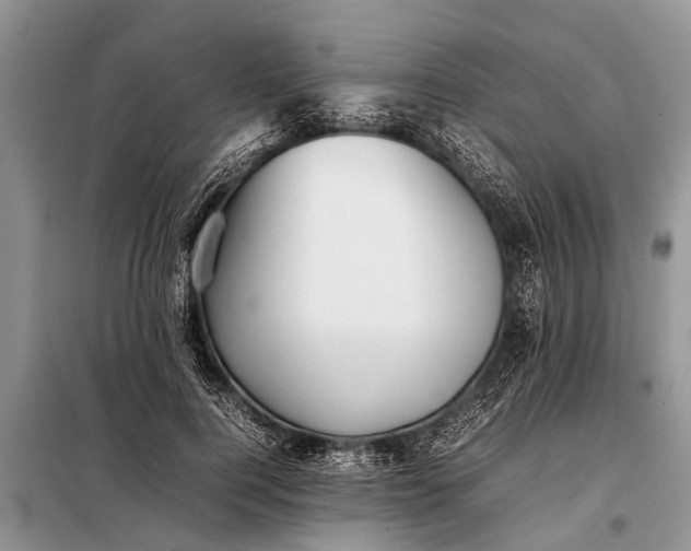 X0000097960744200804071030