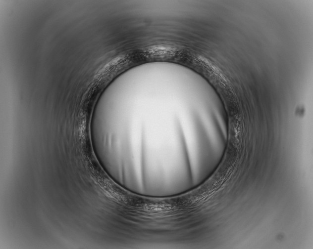 X0000097960745200804071030