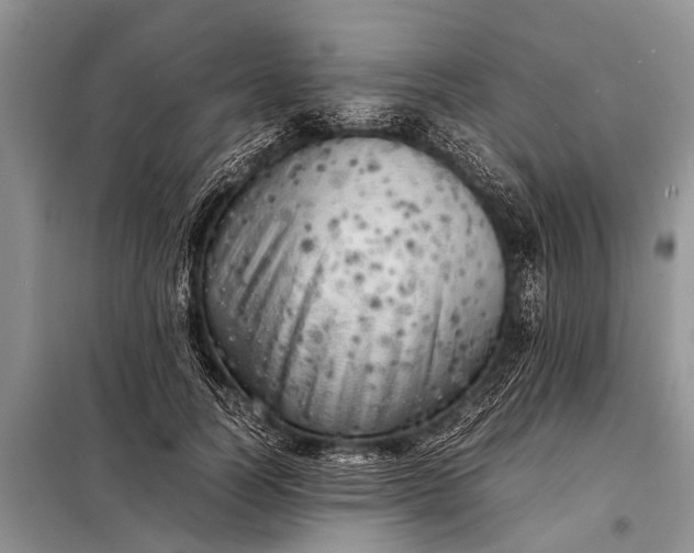 X0000097960746200804071030
