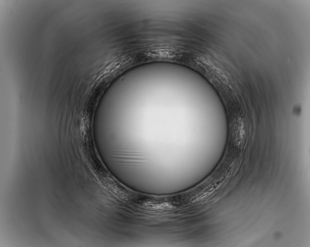 X0000097960747200804071030