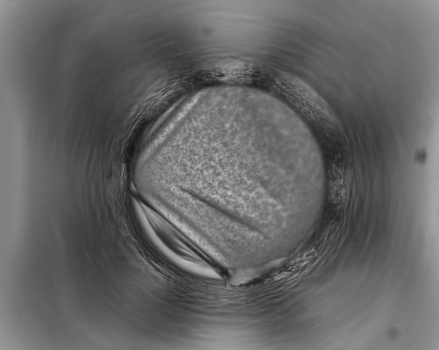 X0000097960748200804071030