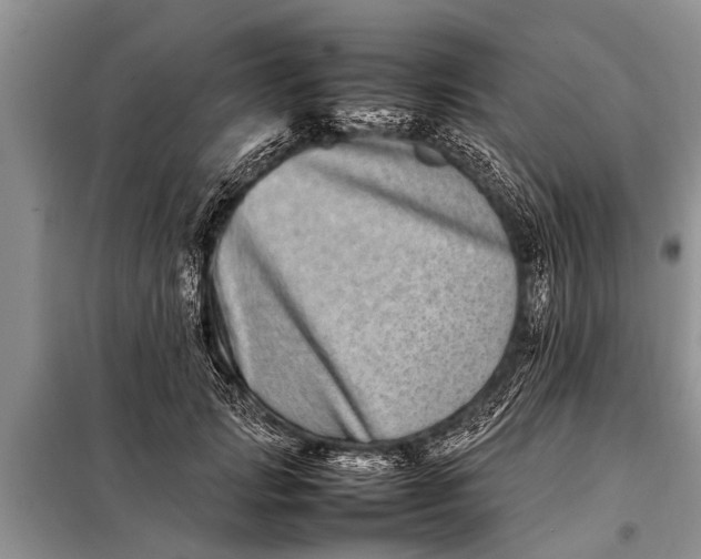X0000097960749200804071030