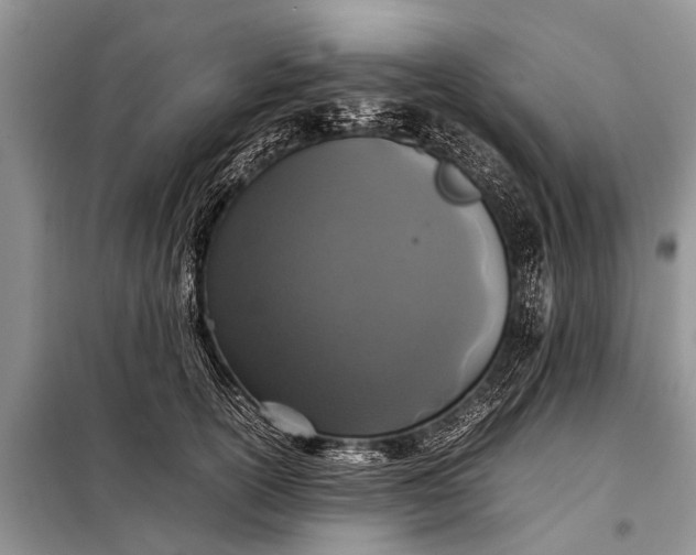 X0000097960754200804071030