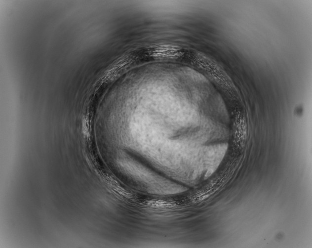 X0000097960755200804071030