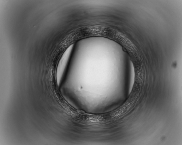 X0000097960757200804071030