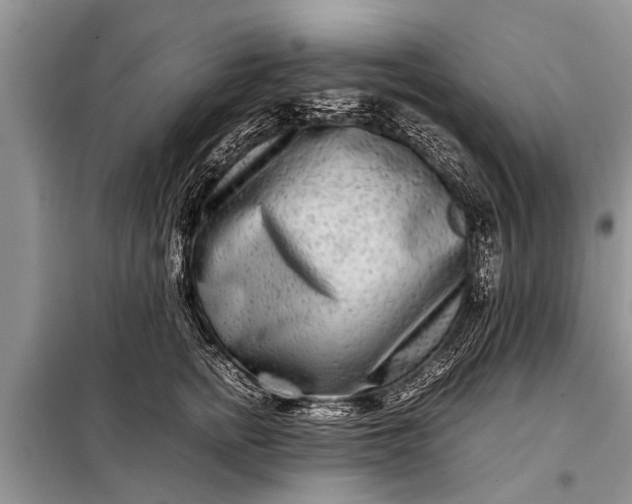 X0000097960758200804071030