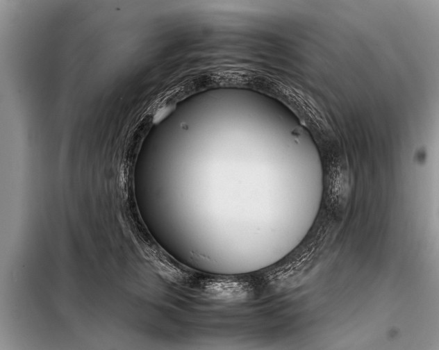 X0000097960759200804071030