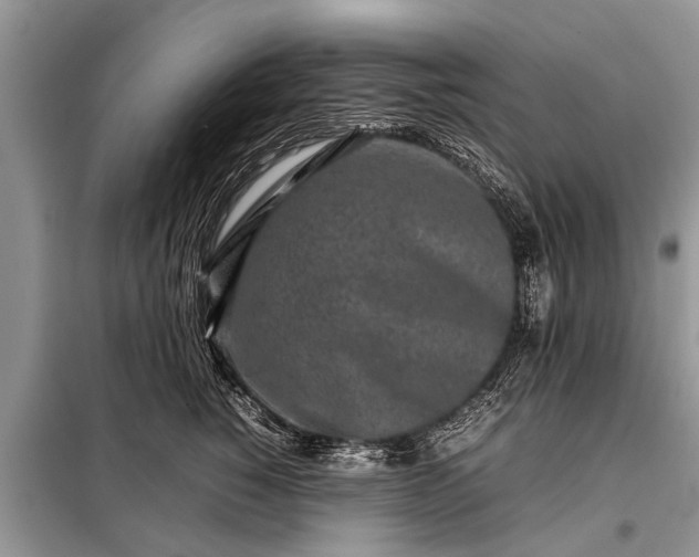 X0000097960760200804071030