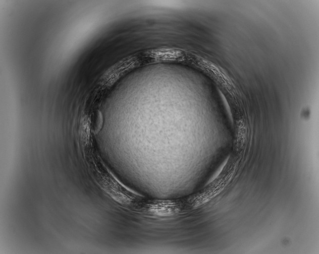 X0000097960761200804071030
