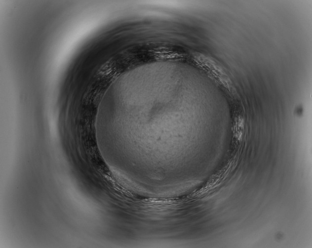 X0000097960763200804071030