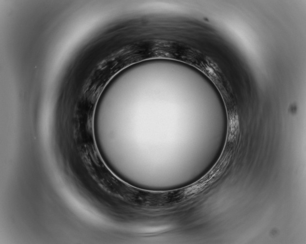 X0000097960765200804071030