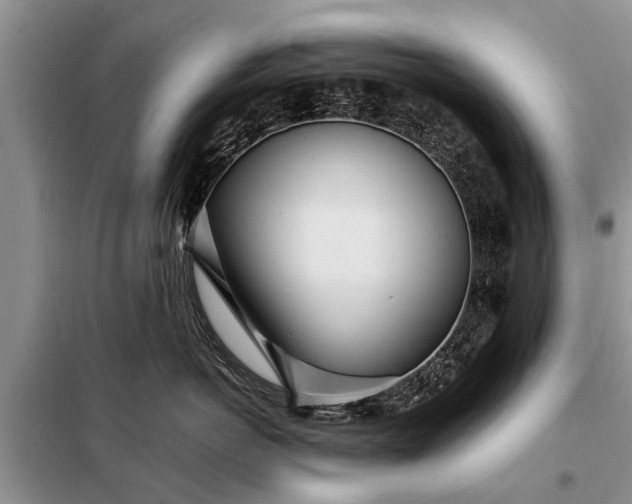 X0000097960766200804071030