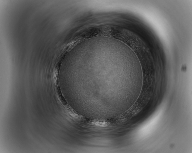 X0000097960767200804071030
