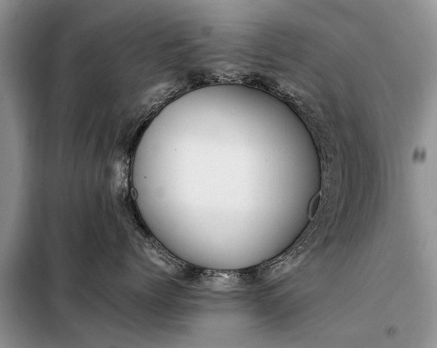 X0000097960768200804071031