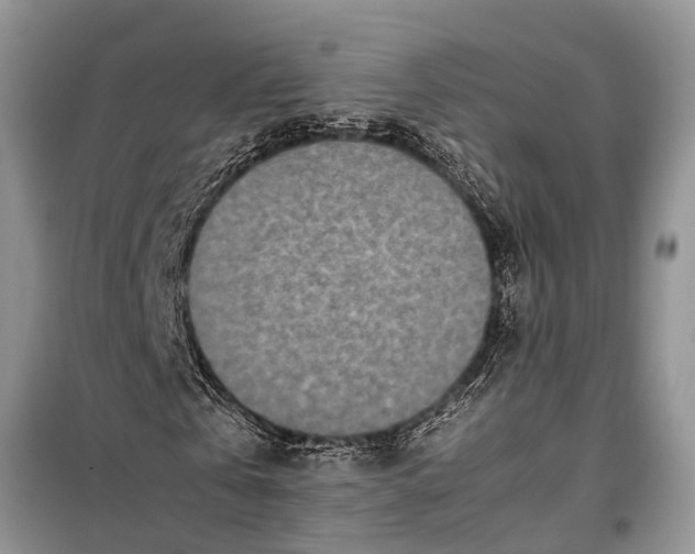 X0000097960769200804071030