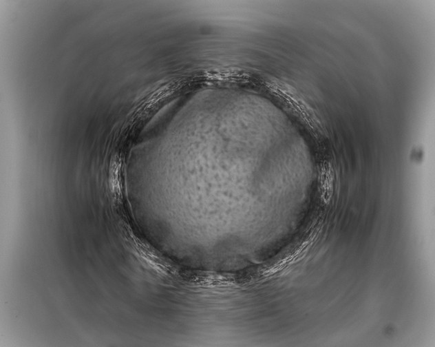 X0000097960770200804071030