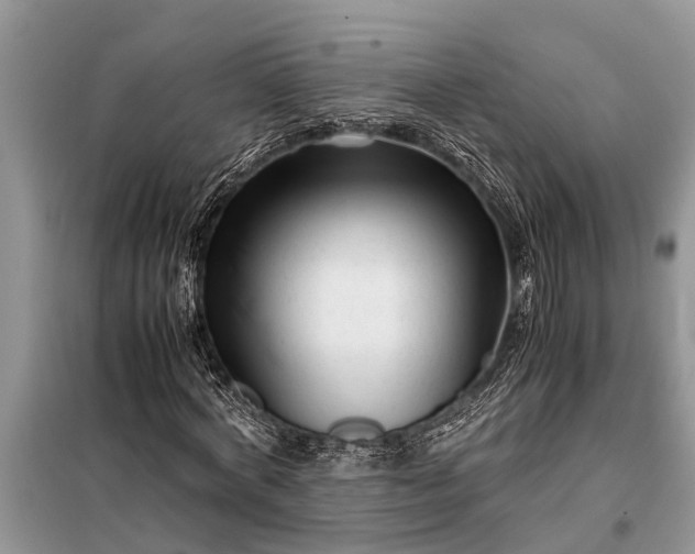 X0000097960772200804071030