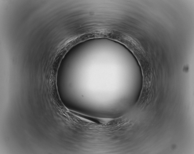X0000097960773200804071030