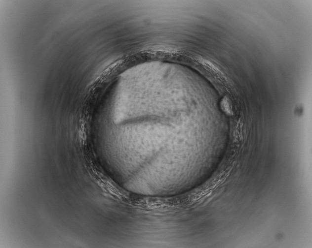 X0000097960774200804071030