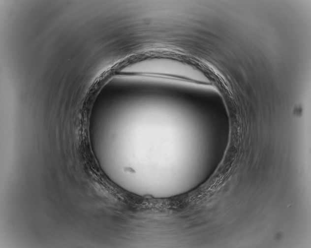 X0000097960775200804071030
