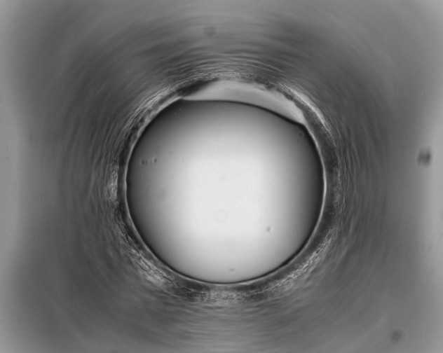X0000097960777200804071030