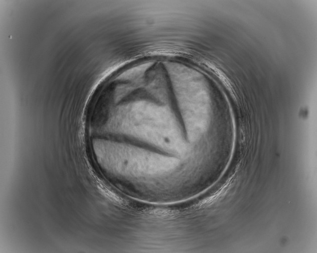 X0000097960779200804071029