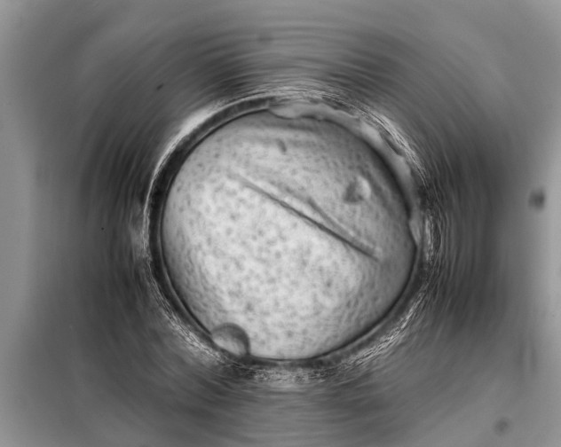 X0000097960780200804071029