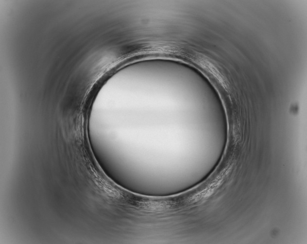 X0000097960781200804071029