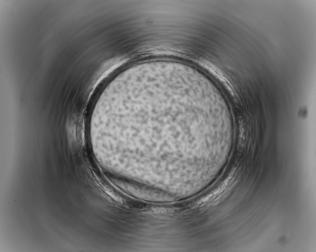 X0000097960782200804071029