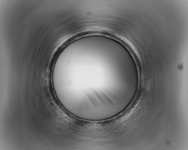 X0000097960783200804071029